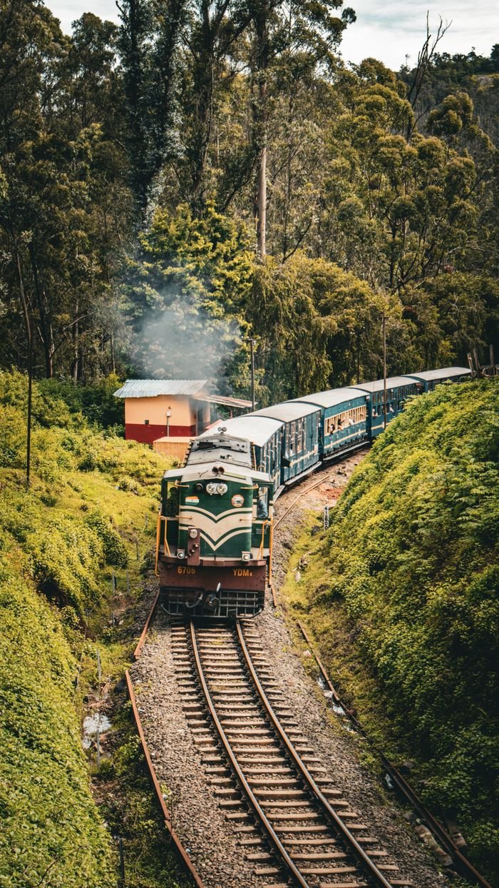 Beautiful scene of a train traveling through lush, verdant landscape surrounded by tall trees and greenery.